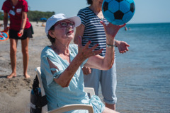 desme-40